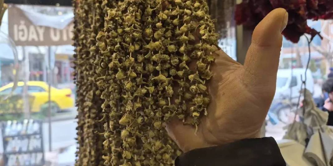 Seveni az ama faydası çok: Kilosu 3.500 TL’ye ulaştı! 5